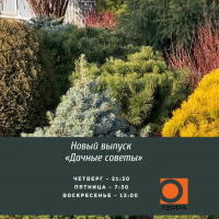 Осенние работы в саду