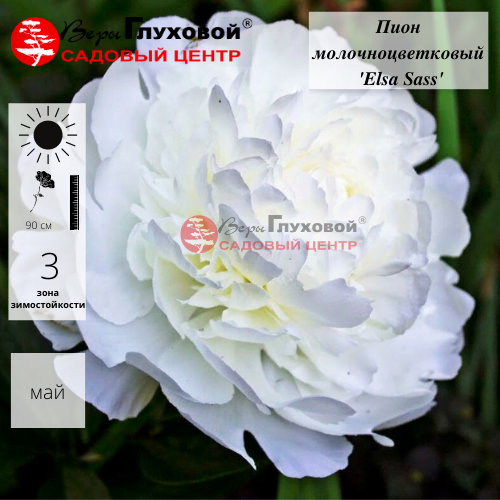 Основное изображение товара