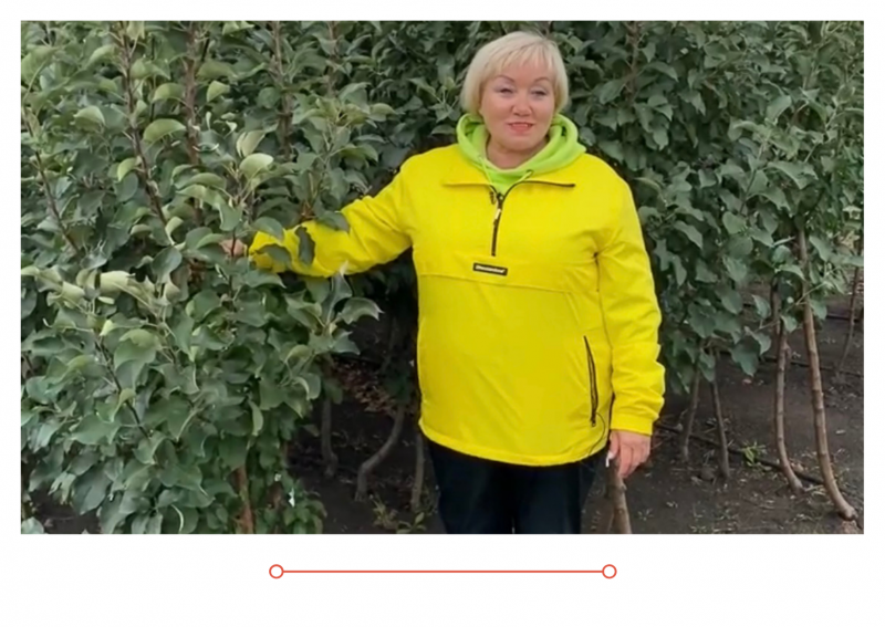 В продажу поступили саженцы плодовых деревьев и кустарников собственного производства ОКС (голый корень)