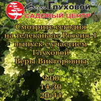 Новости садового центра: об уходе за гортензиями