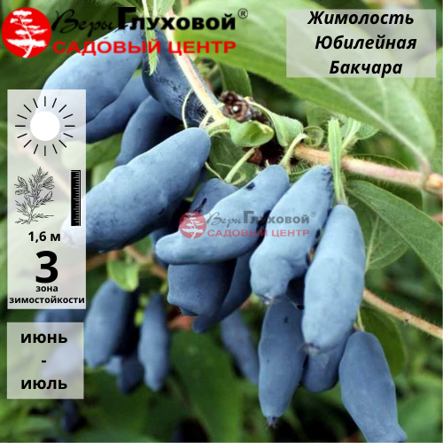 Основное изображение товара