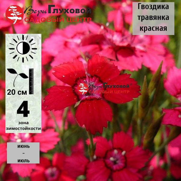 Основное изображение товара