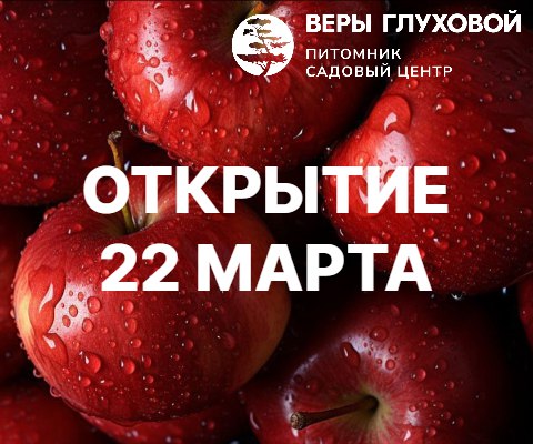 Садовые центры готовы к открытию!