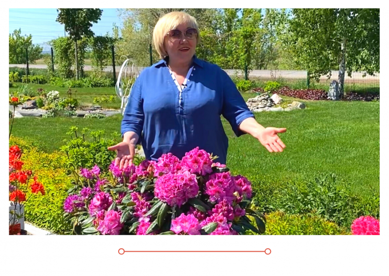 Россия 1 новый выпуск от 20.05.2021 г. Рододендроны, Азалия листопадная