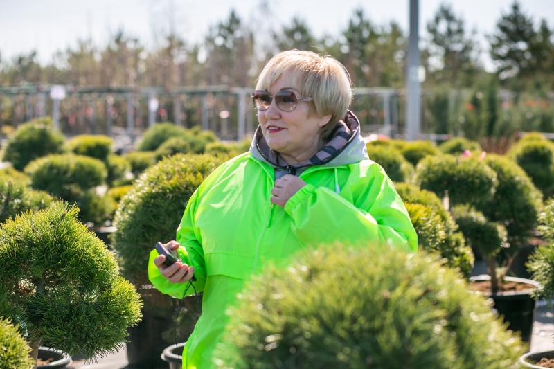 Как вы смотрите на ландшафтные композиции из хвойных растений?