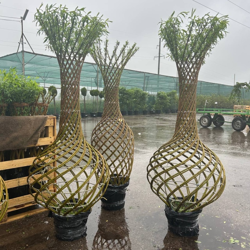 Основное изображение товара