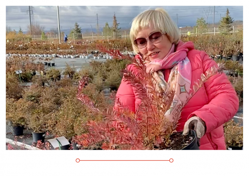 Дачные Советы новый выпуск от 21.10.21