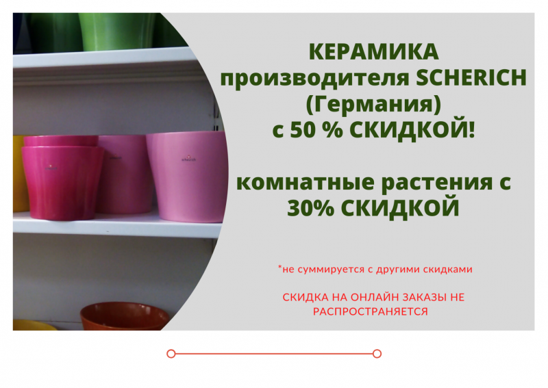 АКЦИЯ: скидка -50% на керамику, -30% на комнатные растения