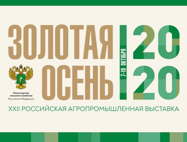 Золотая осень 2020 Золотая осень 2020