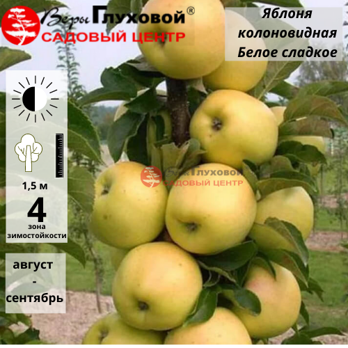 Основное изображение товара