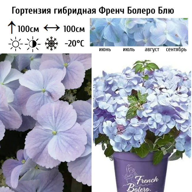 Основное изображение товара