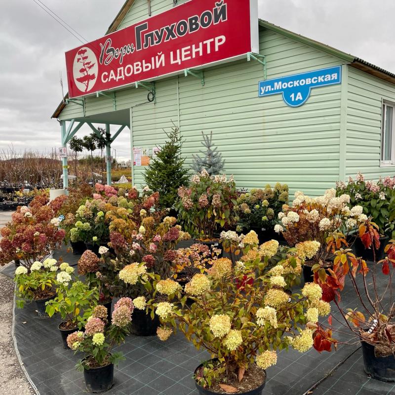 Садовый центр Веры Глуховой в Курумоче продолжает работать!