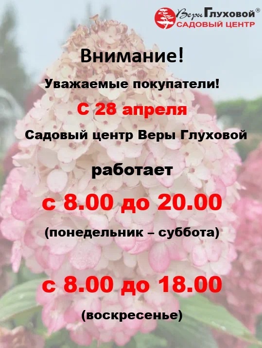 Изменился график работы садовых центров