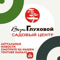 Актуальные новости на нашем канале
