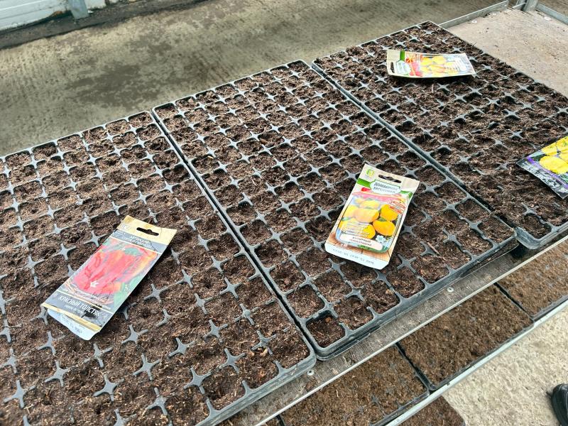 С заботой о дачниках