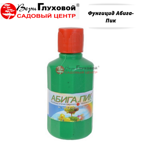 Основное изображение товара