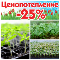 Скидка на рассаду томатов, болгарского перца и капусты - 25%