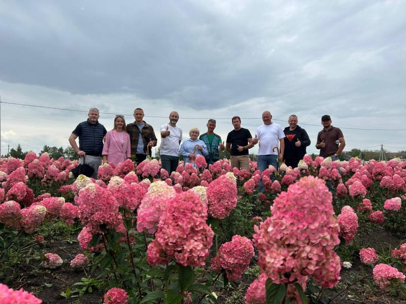 Профессиональный диалог: