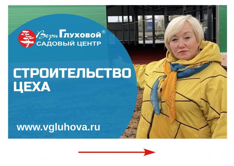 Строительство  цеха по производству посадочного материала