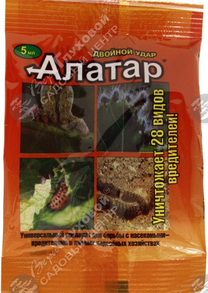 Алатар на фото