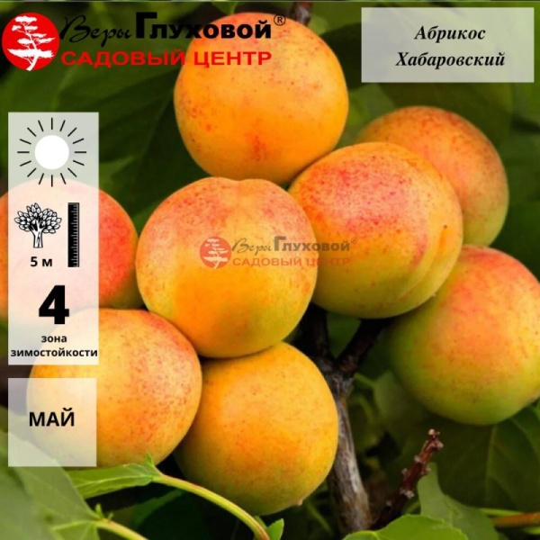 Основное изображение товара