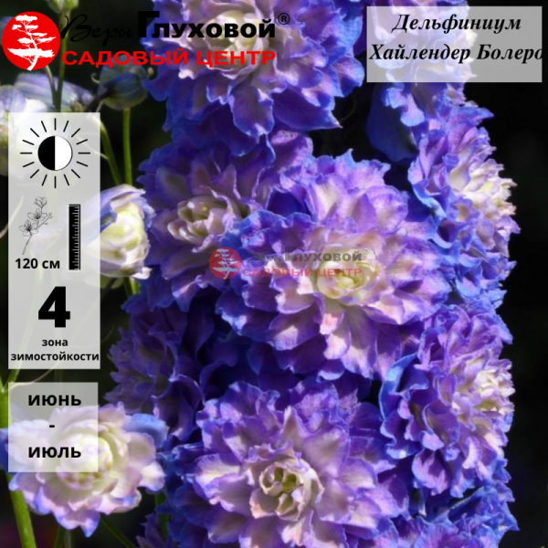 Основное изображение товара