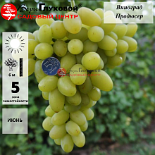 Основное изображение товара