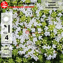 Основное изображение товара