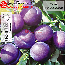 Основное изображение товара