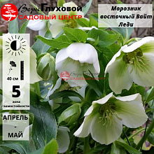 Основное изображение товара