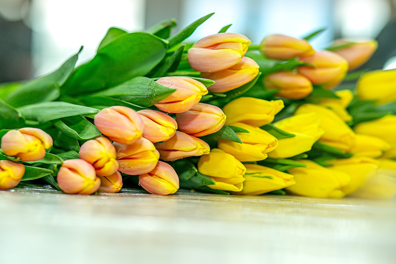 Пункт прием заказов весеннего настроения открыт!