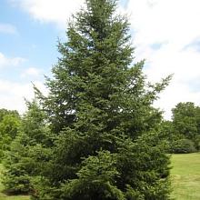 Основное изображение товара