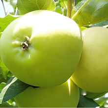 Рисунок 313.jpg