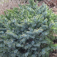 Основное изображение товара