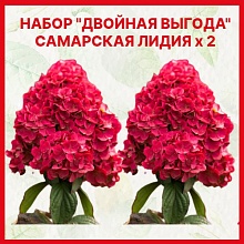 Основное изображение товара