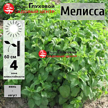 Основное изображение товара