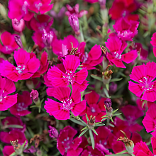 Основное изображение товара