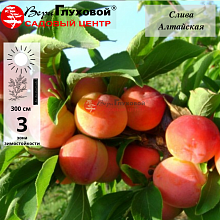 Рисунок 187.jpg