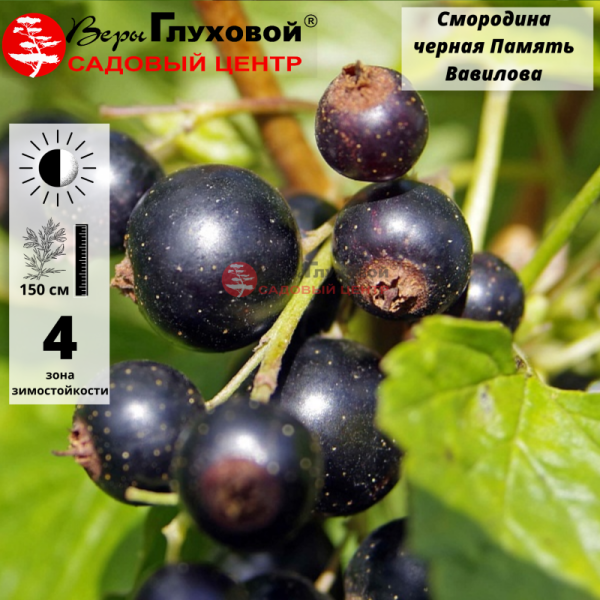 Рисунок 251.jpg